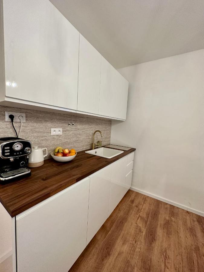 Castle Hill Apt In Old Town Of Bratislava With Free Parking Dış mekan fotoğraf